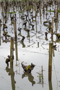 LANGOIRAN, LANGOIRA KUŞAĞI 'NIN Akışı, GARONNE Nehrinden Suyun Yükselişi, Mart 2020, Çukur ÇAkışı