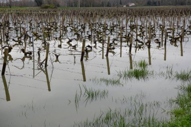 LANGOIRAN, LANGOIRA KUŞAĞI 'NIN Akışı, GARONNE Nehrinden Suyun Yükselişi, Mart 2020, Çukur ÇAkışı