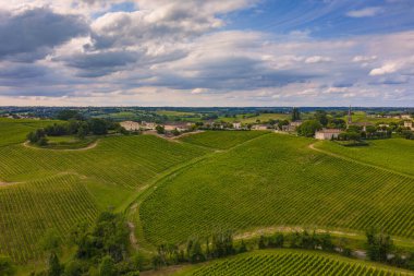 Hava manzarası, Günbatımı manzarası, Bordeaux şaraphanesi, Langoiran, Gironde, Fransa