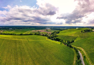 Hava manzarası, Günbatımı manzarası, Bordeaux şaraphanesi, Langoiran, Gironde, Fransa