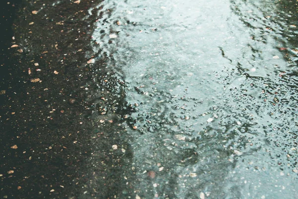 Şiddetli yağmurdan sonra ıslak, asfalt ince bir su tabakasıyla kaplı.