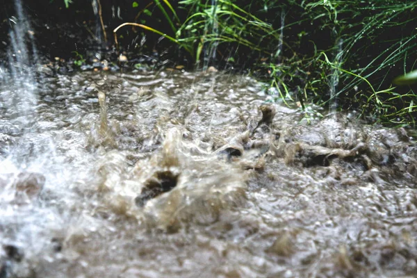 Gotas Chuva Caindo Uma Poça Decrépita Caminho Molhado Jardim — Fotografia de Stock