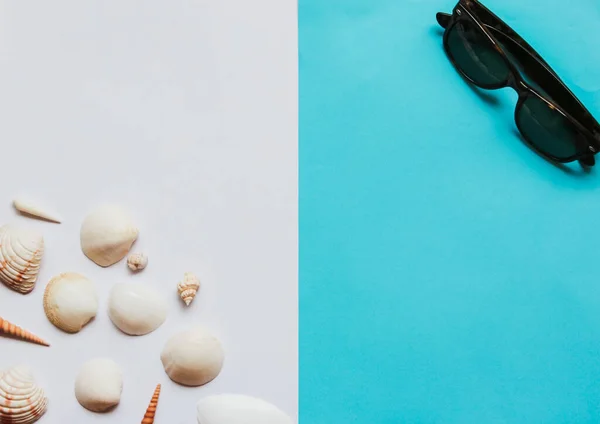 Summer flat lay: sunglasses and shells on a white-blue background. Concept: summer vacation at sea in the tropics