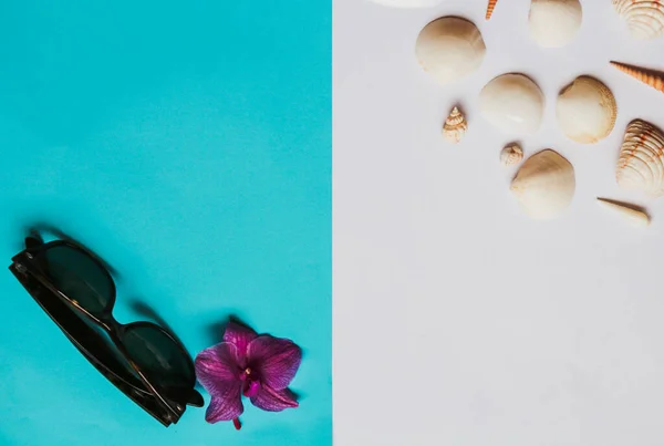 Summer flat lay: orchid flower, sunglasses and shells on a white-blue background. Concept: summer vacation at sea in the tropics