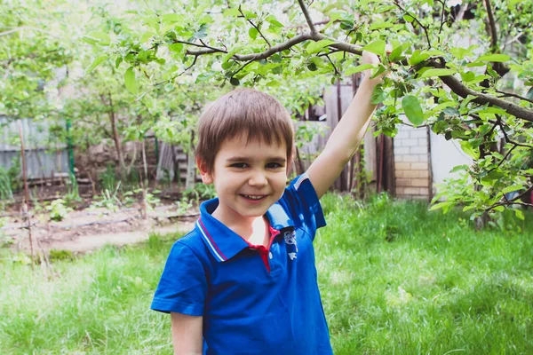 Retrato Menino Uma Camisa Pólo Azul Jardim Entre Árvores — Fotografia de Stock