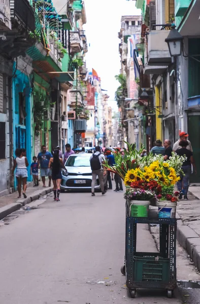 Αβάνα Κούβα Φεβρουάριος 2020 Στενοί Δρόμοι Τουρίστες Πάνω Τους — Φωτογραφία Αρχείου