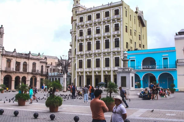 Αβάνα Κούβα Φεβρουάριος 2020 Άνθρωποι Ταΐζουν Περιστέρια Στην Παλιά Πλατεία — Φωτογραφία Αρχείου