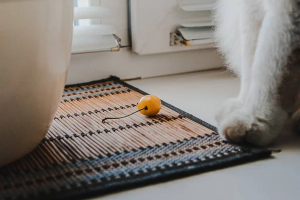 Pencere pervazında, bambu peçetesinin üzerinde sarı bir kiraz ve yakınlarda bir kedi var.