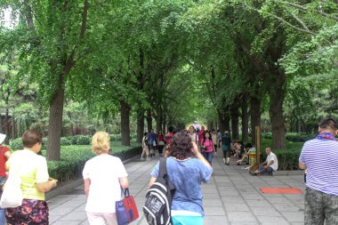 Pekin, Çin, 30 Temmuz 2018: Turistler Yonghegong Lamaist Manastırı 'nın girişinden gingko biloba ağaçları boyunca yürüyorlar