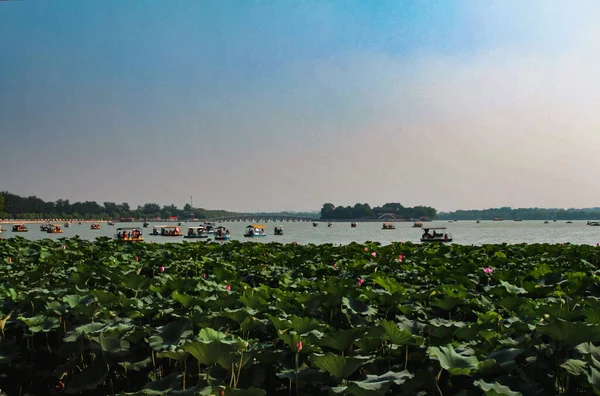 Jezioro Porośnięte Lotosami Rezydencji Chińskich Cesarzy Yiheyuan Park — Zdjęcie stockowe