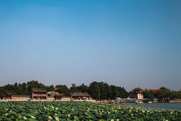 See Überwuchert Mit Lotusblüten Der Residenz Der Chinesischen Kaiser Yiheyuan — Stockfoto