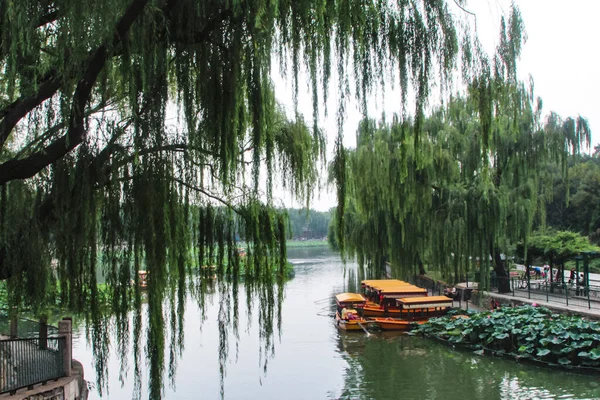 Płaczące Wierzby Wiszą Nad Stawem Beihai Park — Zdjęcie stockowe