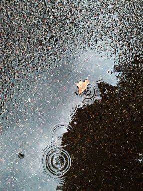Asfalttaki bir su birikintisinin yüzeyindeki yağmur damlalarından dalgalanmalar