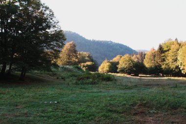 Güneşin doğuşuyla yıkanan bir açıklık.