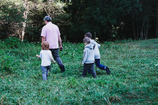 Hombre Con Tres Hijos Camina Sobre Hierba Verde Vista Desde —  Fotos de Stock