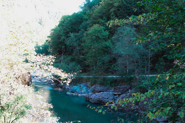 Szmaragdowa Zielona Rzeka Płynie Wąskim Górskim Wąwozie Otoczona Zielonymi Drzewami — Zdjęcie stockowe