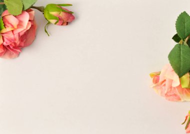 Beyaz ve siyah arka plan üzerine gül çiçek desenli çerçeve yaptı. Düz yatıyordu, en iyi görünüm. Valentine'nın arka plan. Uluslararası Woman's day, 8 Mart çiçek deseni. Çiçek desen doku