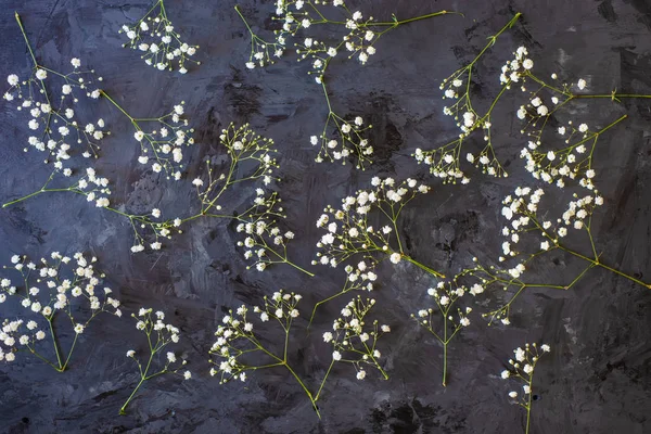 Blommor Svart Bakgrund Flatlay Ovanifrån Med Kopia Utrymme — Stockfoto