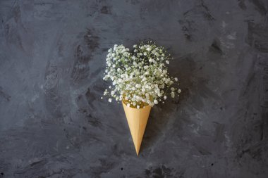 kır çiçekleri koni üstten görünüm veya düz siyah arka plan üzerine, kopya alanı yatıyordu 