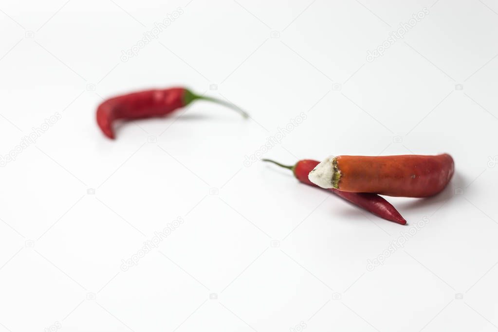 ugly red hot chilli pepper with mold