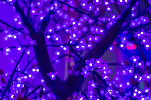 LED światło Sakura Sztuczny kwiat na drzewie w nocy — Zdjęcie stockowe