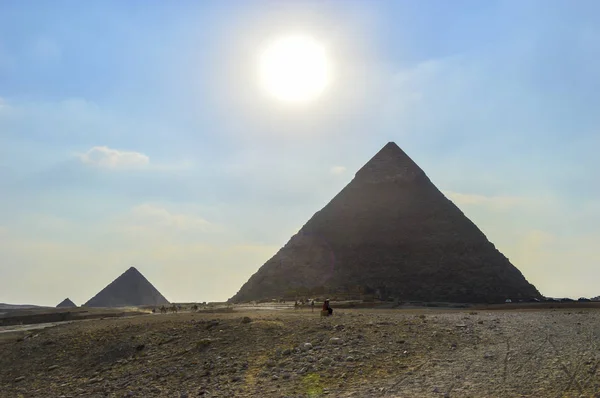 스핑크스와 낙 타와 이집트 카이로에서 기자의 위대한 피라미드 — 스톡 사진