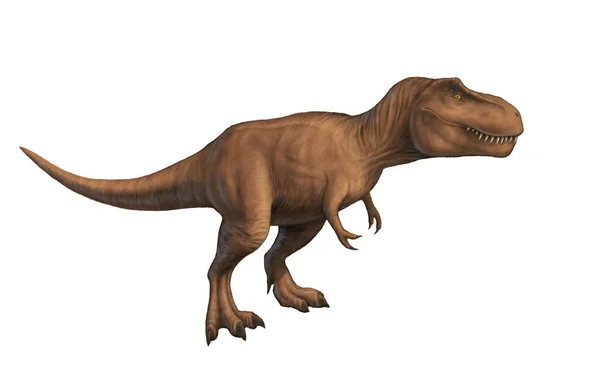 A Tyrannosaurus Rex elszigetelt — Stock Fotó