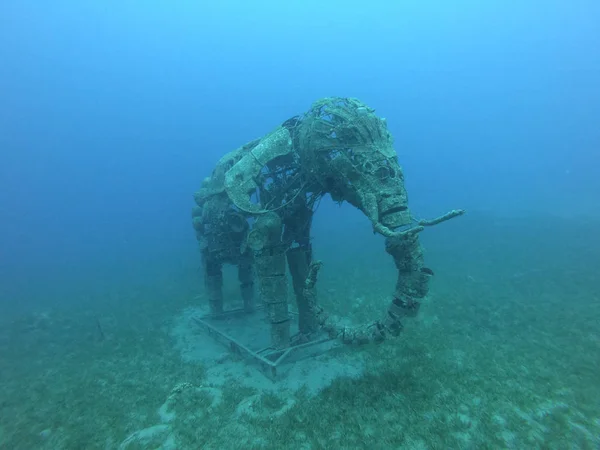 Estátua Subaquática Elefante Mar Vermelho Largo Dahab Egito — Fotografia de Stock
