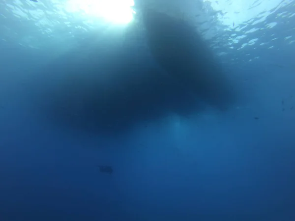 Buceador Scuba Debajo Barcos Mar Rojo Frente Sharm Sheikh Egipto — Foto de Stock