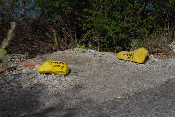 Weber's Joy Dalış Site İşaretleyici