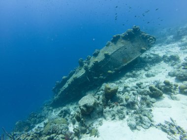 Bonaire Gemi Enkazı