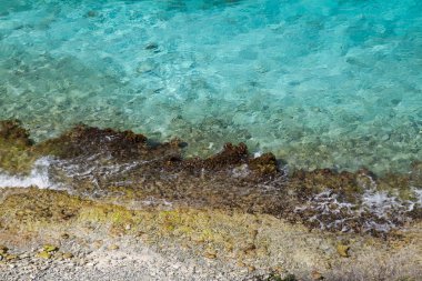 1000 Adımlar Bonaire