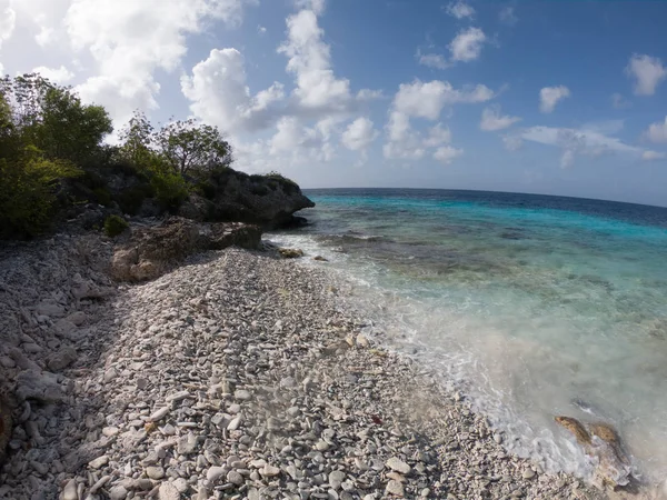 Weber'in Joy Bonaire'i