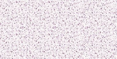 duvar ve zemin Dekoratif mermer doku arka plan,