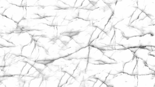 Italiano Bianco Nero Marmi Texture Sfondo Interni Esterni Decorazione Domestica — Video Stock