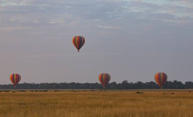 Güzel arka plan üzerinde büyük renkli balonlar