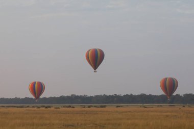 Güzel arka plan üzerinde büyük renkli balonlar