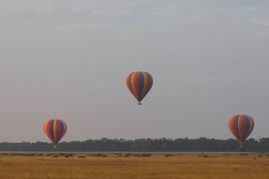 Güzel arka plan üzerinde büyük renkli balonlar