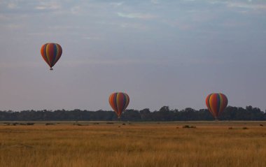 Güzel arka plan üzerinde büyük renkli balonlar