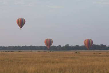 Güzel arka plan üzerinde büyük renkli balonlar