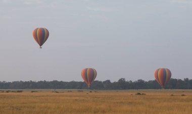 Güzel arka plan üzerinde büyük renkli balonlar