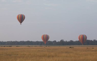 Güzel arka plan üzerinde büyük renkli balonlar