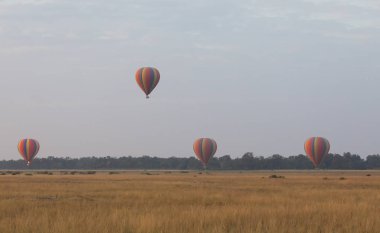 Güzel arka plan üzerinde büyük renkli balonlar