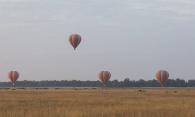 Güzel arka plan üzerinde büyük renkli balonlar