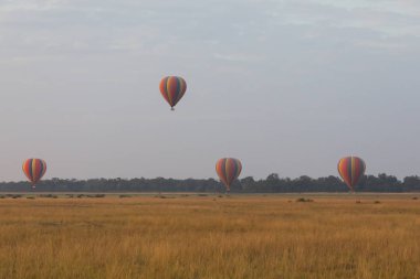 Güzel arka plan üzerinde büyük renkli balonlar