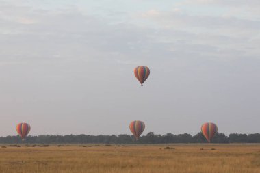 Güzel arka plan üzerinde büyük renkli balonlar