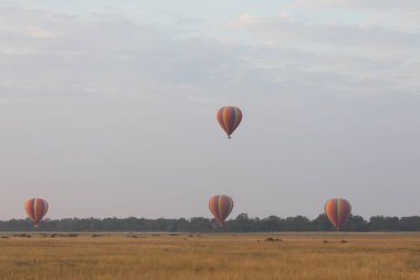 Güzel arka plan üzerinde büyük renkli balonlar