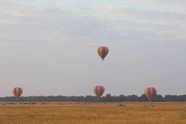 Güzel arka plan üzerinde büyük renkli balonlar