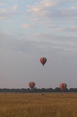 Güzel arka plan üzerinde büyük renkli balonlar