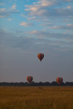 Güzel arka plan üzerinde büyük renkli balonlar